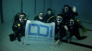 DDI Assistant diver