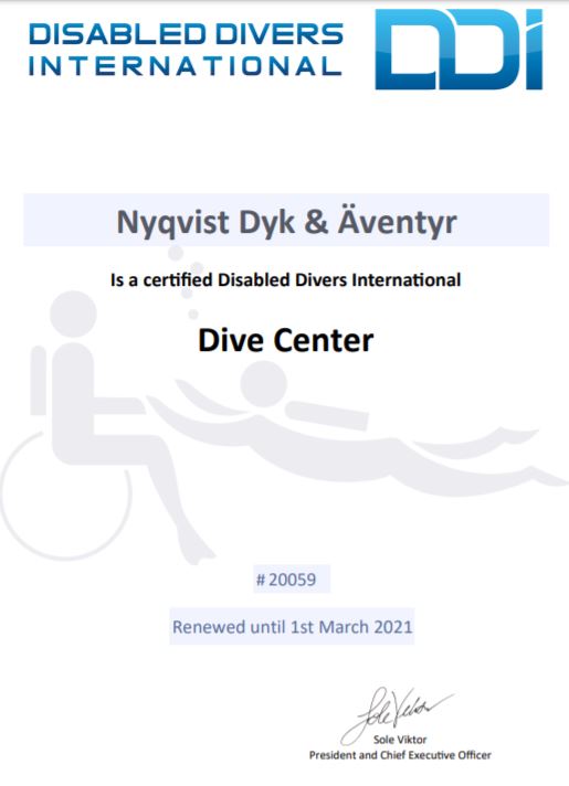 DDI Divecenter #20059